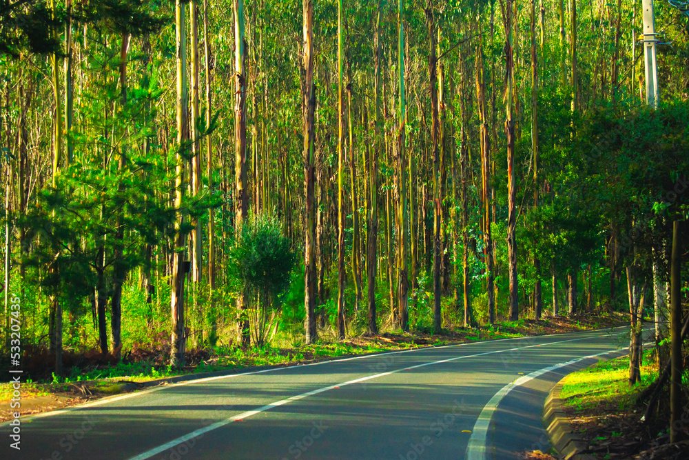 Casi que me pierdo Descubre cómo evitar perderte en el camino