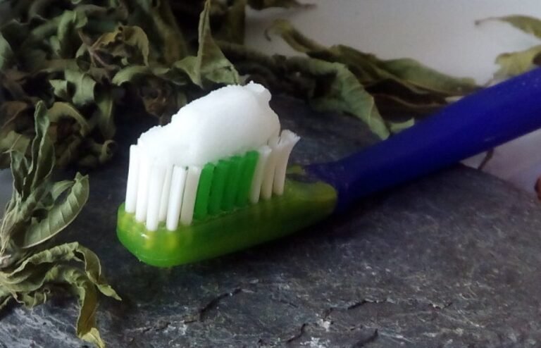 Es efectiva la pasta de dientes sin flúor para una buena salud bucal 30 pasta de dientes natural sobre un cepillo