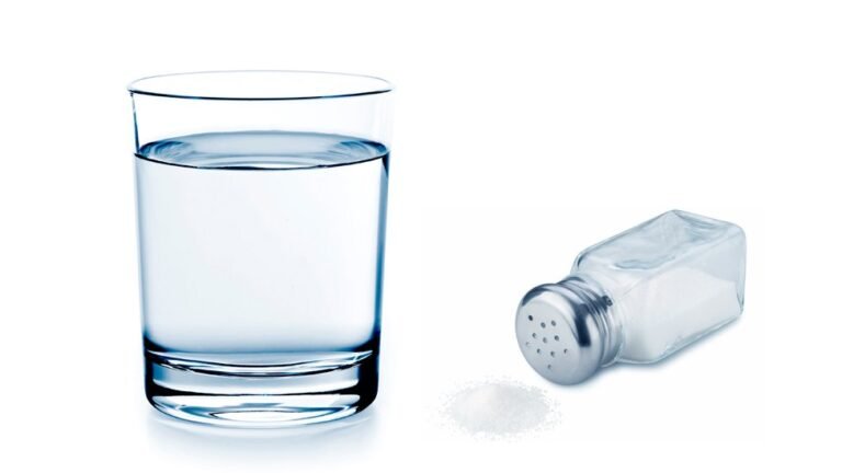 vaso de agua y sal en la naturaleza